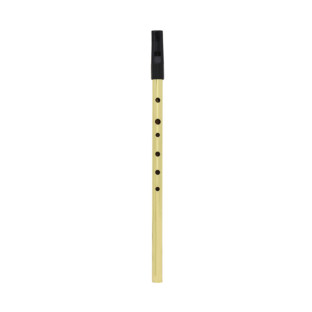 Irish Whistle Flute D Key Ireland Flute 6 Hole Musical Instrument Gold