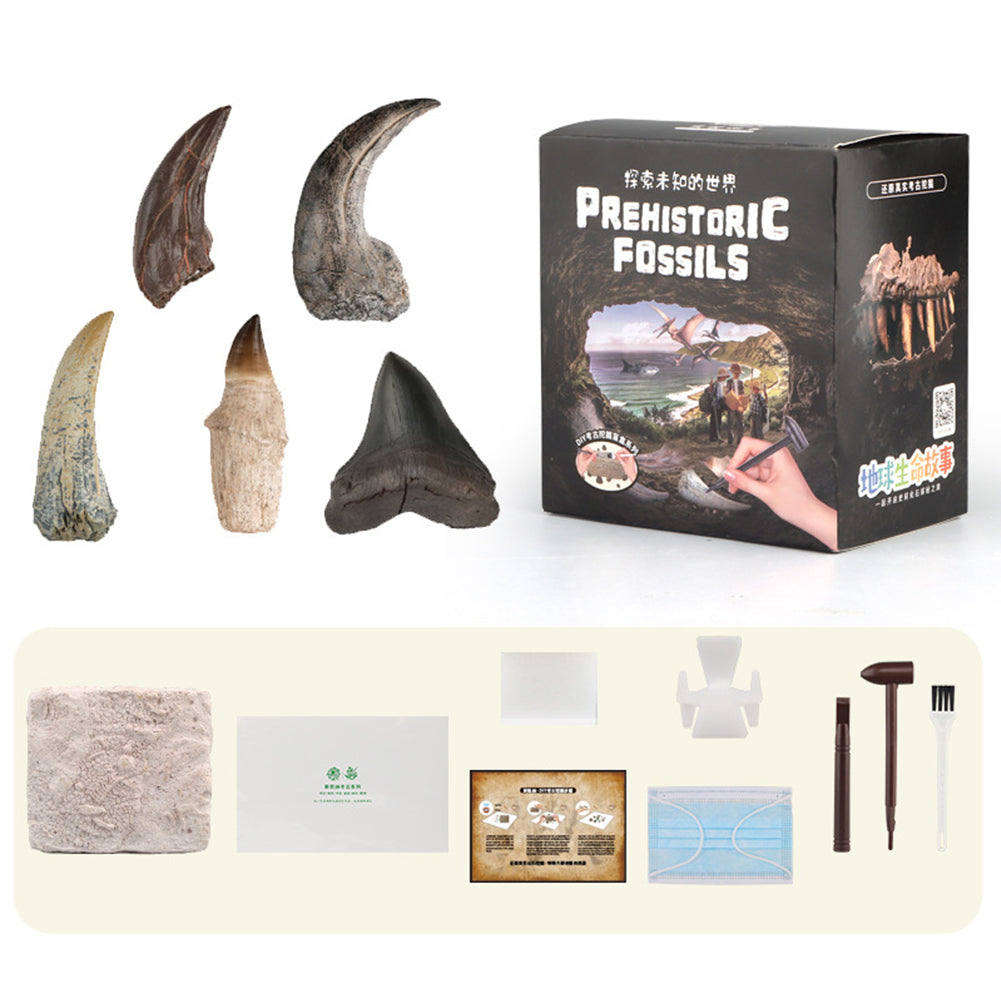 Children Digging Toys Dinosaur Fossil Dinosaur Egg Sanxingdui Archaeological Dig Toy Diy Teaching Experiment X806