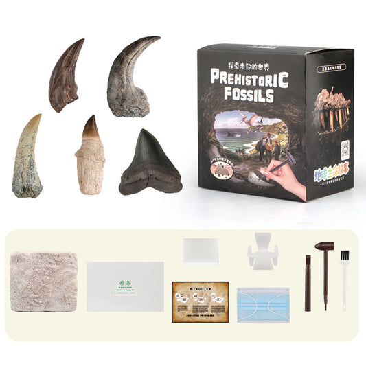 Children Digging Toys Dinosaur Fossil Dinosaur Egg Sanxingdui Archaeological Dig Toy Diy Teaching Experiment X806